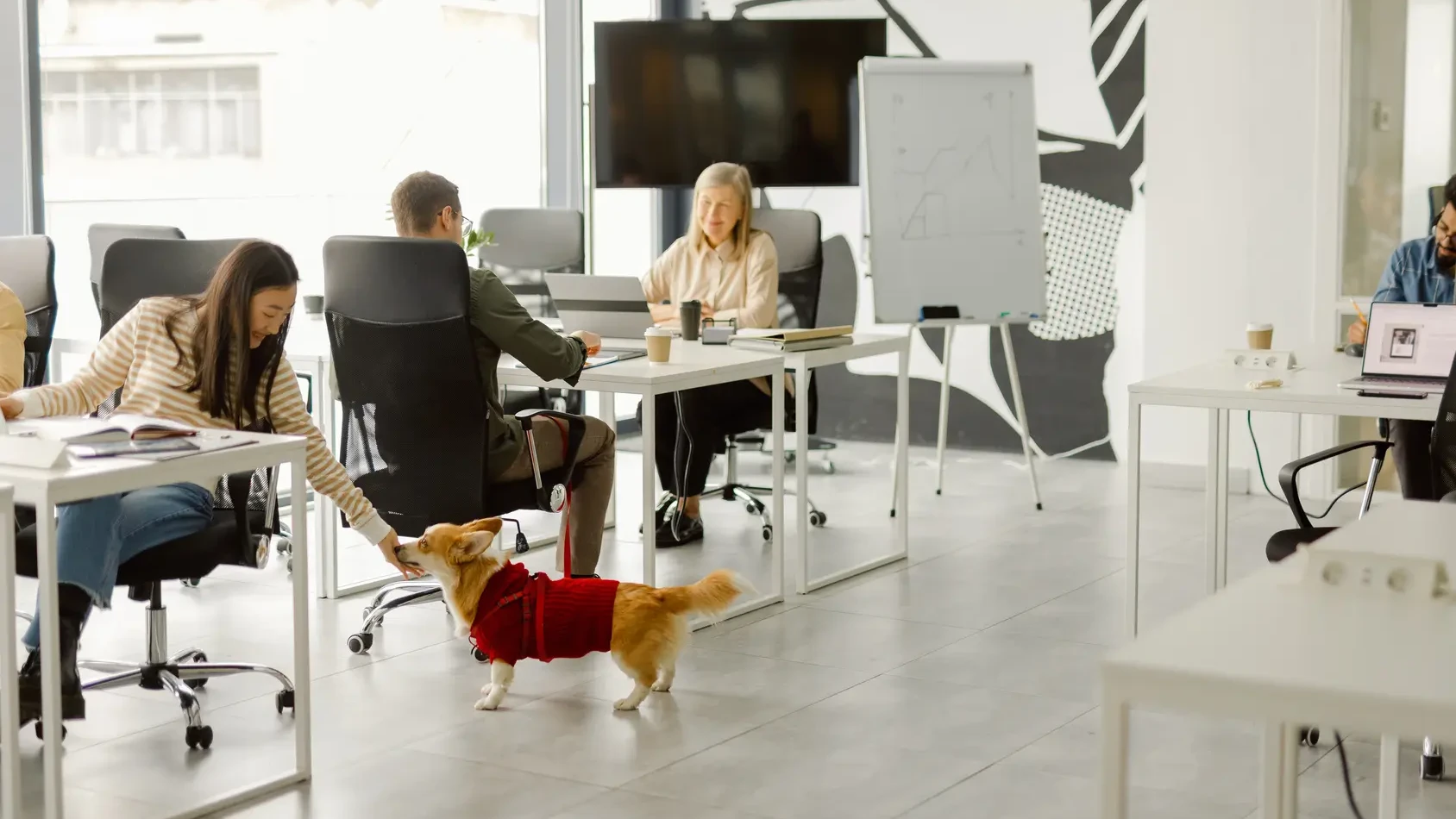 Entspanntes Büro mit Kollegen und einem Hund.