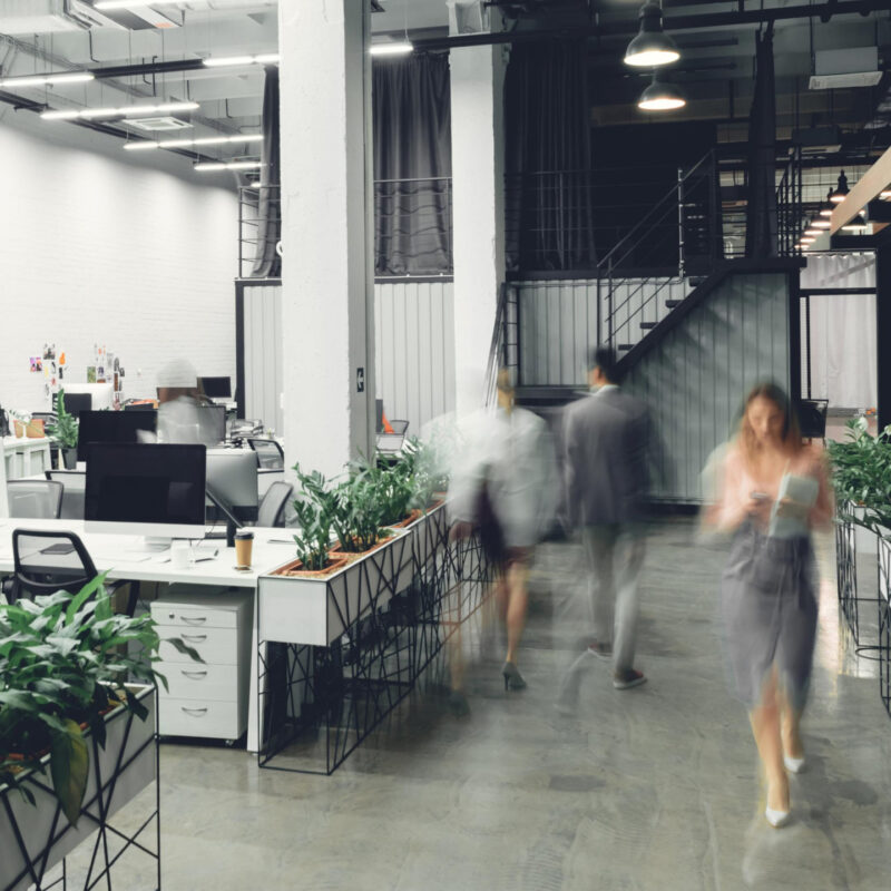 AdobeStock_243327126_-LIGHTFIELD-STUDIOS_k-3824x2151-2560x1440-1