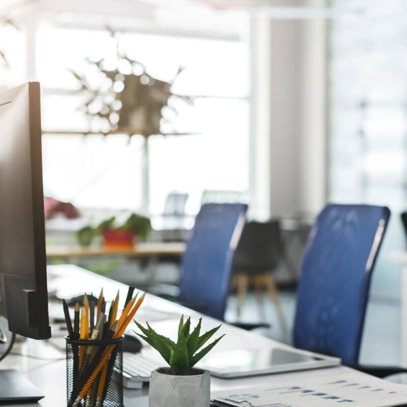 AdobeStock_261318391_Prostock-studio_k-3692x2076-2560x1439-1