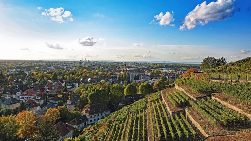 Personaldienstleistung in Karlsruhe