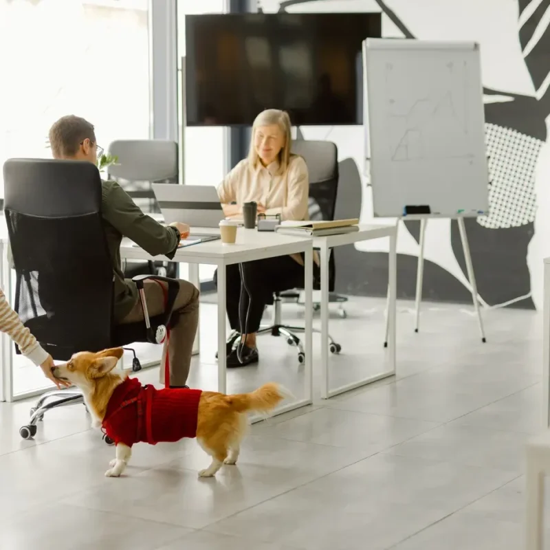 Workplace-culture_Oleksii-Syrotkin-Stocksy-1688x950-1